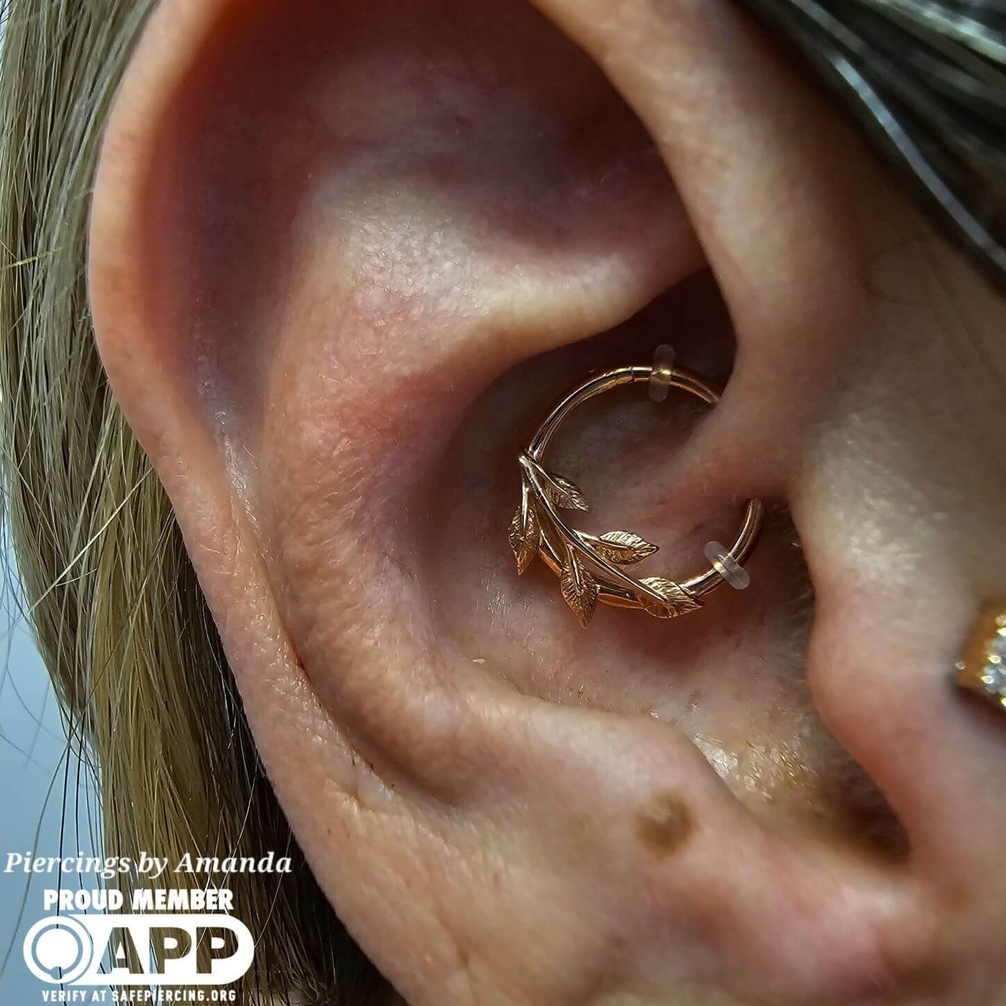 Fresh daith piercing with 14k rose gold